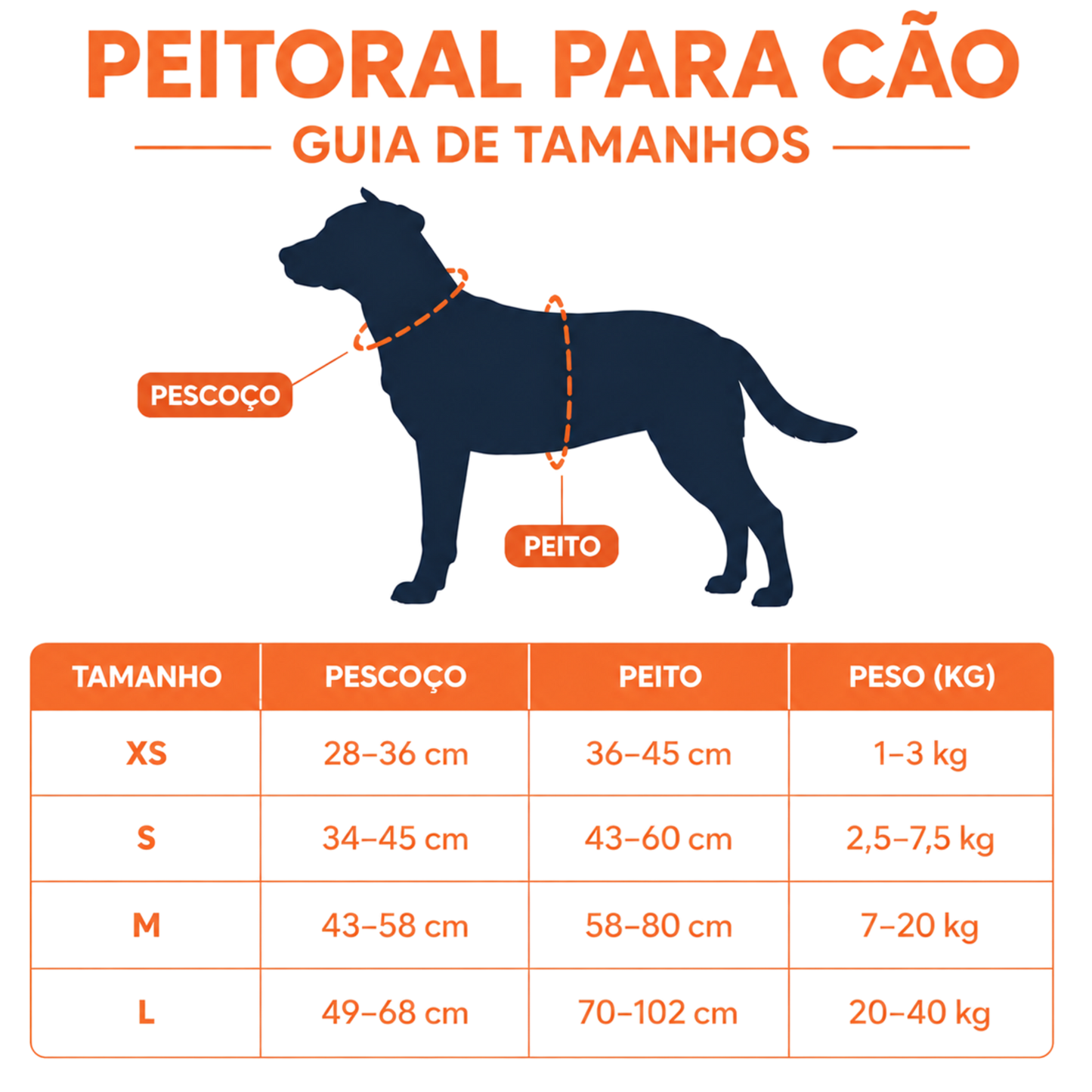 Kit de Passeio