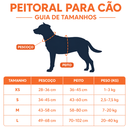 Kit de Passeio