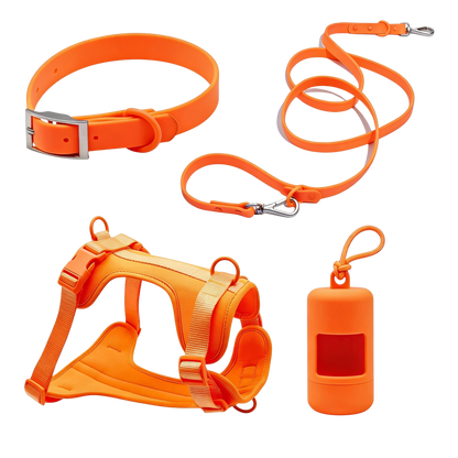 Kit de Passeio