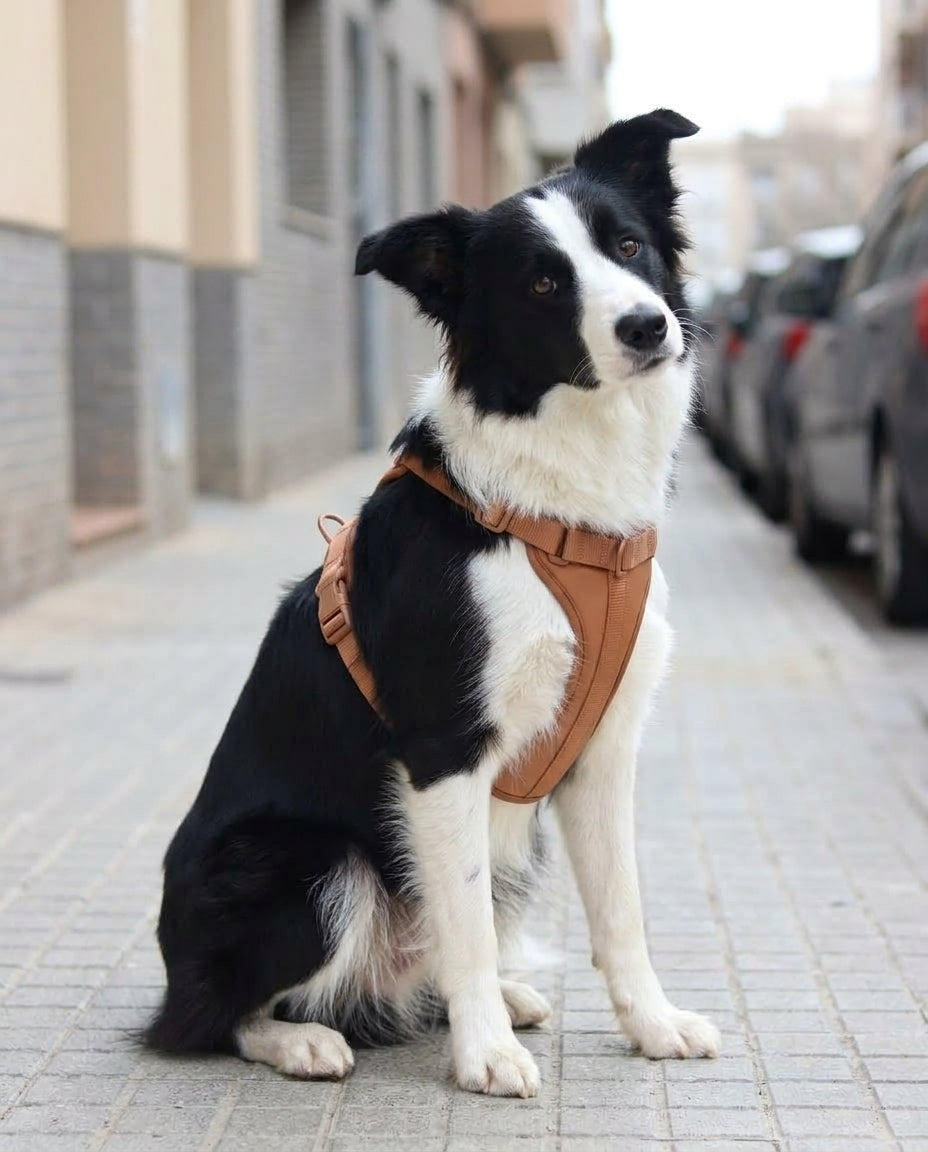 Kit Peitoral | Cacau